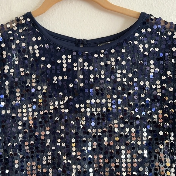 Sheer Navy Blue Whimsagoth Fairy Dress W/ Silver Sequins All Over Size Small - Picture 2 of 6